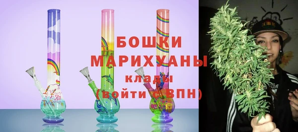 ГАЛЛЮЦИНОГЕННЫЕ ГРИБЫ Покров